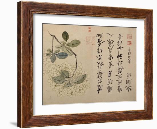 Hydrangeas-Yun Shouping-Framed Giclee Print