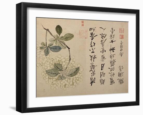 Hydrangeas-Yun Shouping-Framed Giclee Print