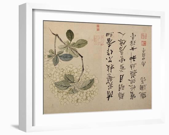 Hydrangeas-Yun Shouping-Framed Giclee Print