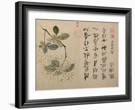 Hydrangeas-Yun Shouping-Framed Giclee Print