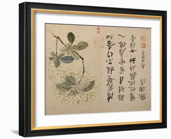 Hydrangeas-Yun Shouping-Framed Giclee Print