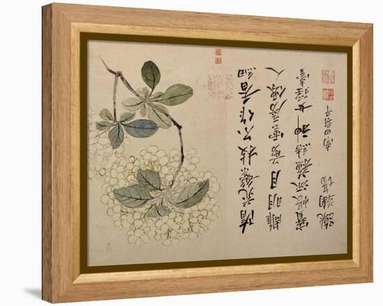 Hydrangeas-Yun Shouping-Framed Premier Image Canvas