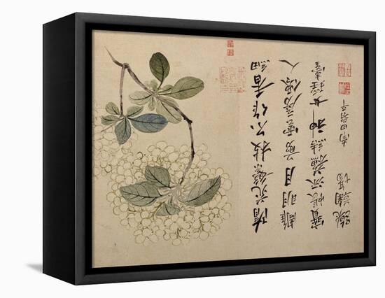 Hydrangeas-Yun Shouping-Framed Premier Image Canvas