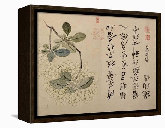 Hydrangeas-Yun Shouping-Framed Premier Image Canvas