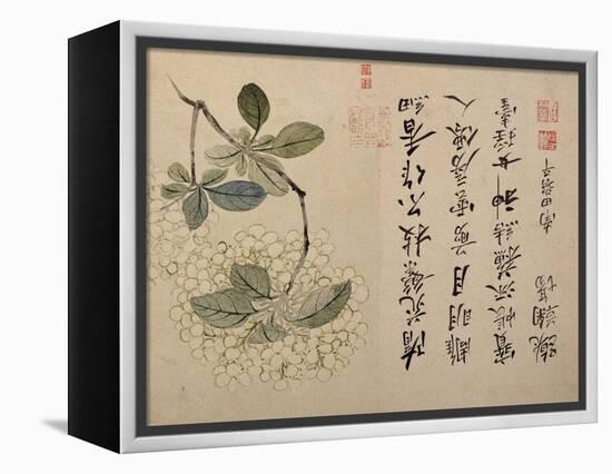 Hydrangeas-Yun Shouping-Framed Premier Image Canvas