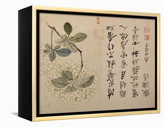 Hydrangeas-Yun Shouping-Framed Premier Image Canvas