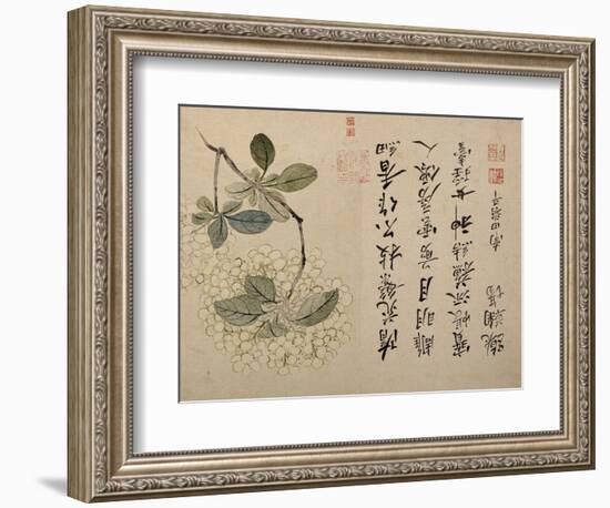 Hydrangeas-Yun Shouping-Framed Giclee Print