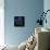 Hydrangeas-Pol Ledent-Framed Stretched Canvas displayed on a wall