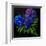 Hydrangeas-Pol Ledent-Framed Art Print