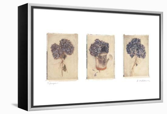 Hydrangeas-Amy Melious-Framed Stretched Canvas