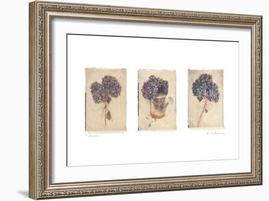 Hydrangeas-Amy Melious-Framed Art Print