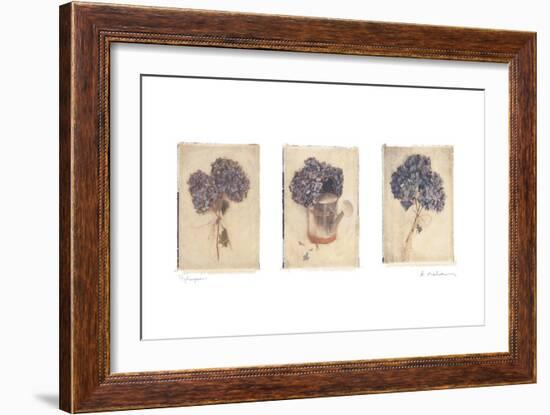 Hydrangeas-Amy Melious-Framed Art Print