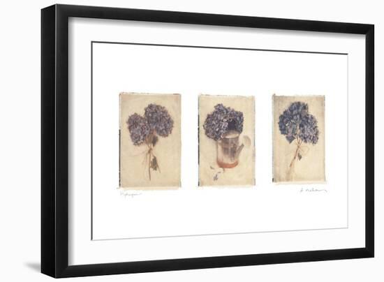 Hydrangeas-Amy Melious-Framed Art Print