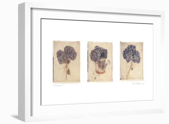 Hydrangeas-Amy Melious-Framed Art Print