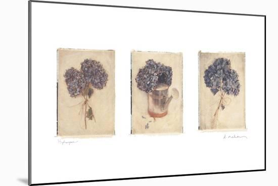 Hydrangeas-Amy Melious-Mounted Art Print