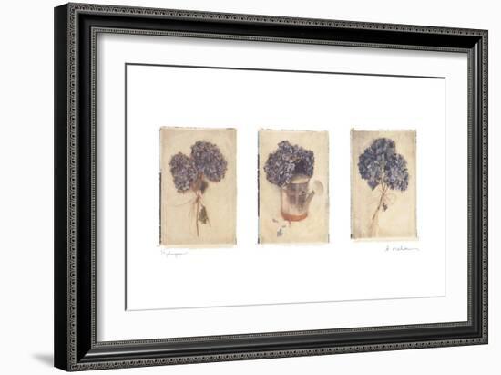 Hydrangeas-Amy Melious-Framed Art Print