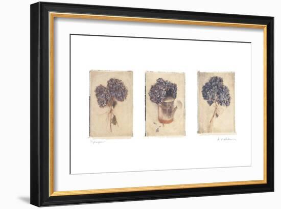 Hydrangeas-Amy Melious-Framed Art Print