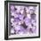 Hydranger Glory-Doug Chinnery-Framed Photographic Print