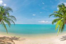 Tropical Beach with Coconut Palm-Hydromet-Framed Photographic Print