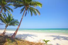 Panoramic Tropical Beach with Coconut Palm-Hydromet-Framed Photographic Print