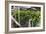 Hydroponic Waste Management System-Matthew Oldfield-Framed Photographic Print