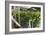 Hydroponic Waste Management System-Matthew Oldfield-Framed Photographic Print