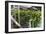 Hydroponic Waste Management System-Matthew Oldfield-Framed Photographic Print