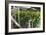 Hydroponic Waste Management System-Matthew Oldfield-Framed Photographic Print