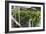 Hydroponic Waste Management System-Matthew Oldfield-Framed Photographic Print