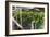 Hydroponic Waste Management System-Matthew Oldfield-Framed Photographic Print