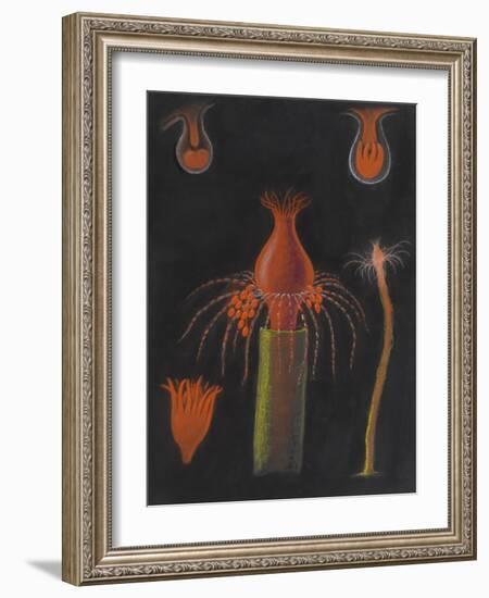 Hydrozoan-Philip Henry Gosse-Framed Giclee Print