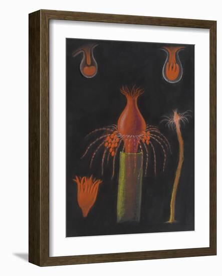 Hydrozoan-Philip Henry Gosse-Framed Giclee Print