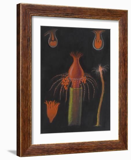 Hydrozoan-Philip Henry Gosse-Framed Giclee Print