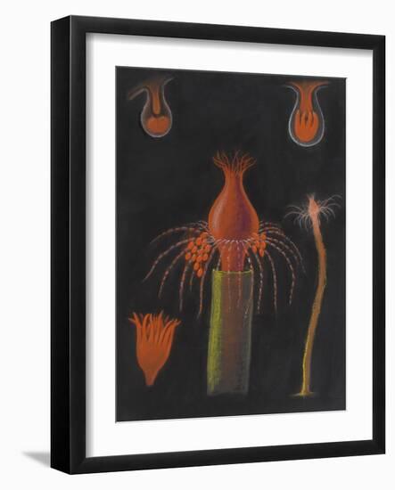 Hydrozoan-Philip Henry Gosse-Framed Giclee Print