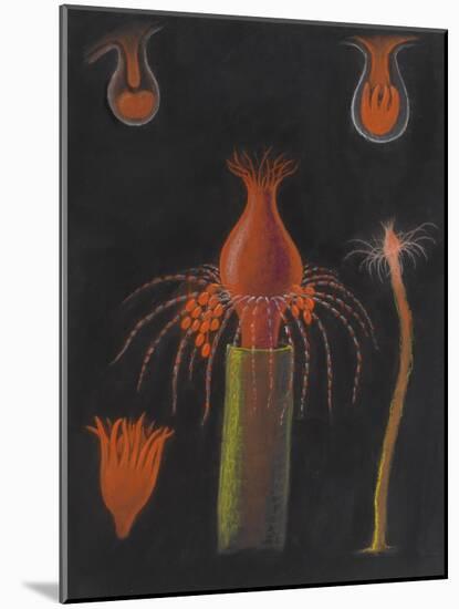 Hydrozoan-Philip Henry Gosse-Mounted Giclee Print