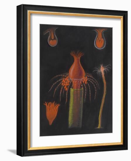 Hydrozoan-Philip Henry Gosse-Framed Giclee Print