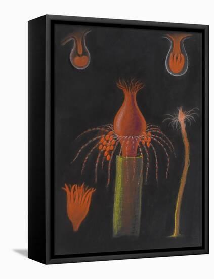 Hydrozoan-Philip Henry Gosse-Framed Premier Image Canvas