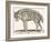 Hyena, 1850 (Engraving)-Louis Simon (1810-1870) Lassalle-Framed Giclee Print