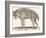 Hyena, 1850 (Engraving)-Louis Simon (1810-1870) Lassalle-Framed Giclee Print