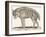 Hyena, 1850 (Engraving)-Louis Simon (1810-1870) Lassalle-Framed Giclee Print