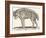 Hyena, 1850 (Engraving)-Louis Simon (1810-1870) Lassalle-Framed Giclee Print