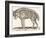 Hyena, 1850 (Engraving)-Louis Simon (1810-1870) Lassalle-Framed Giclee Print