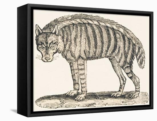 Hyena, 1850 (Engraving)-Louis Simon (1810-1870) Lassalle-Framed Premier Image Canvas