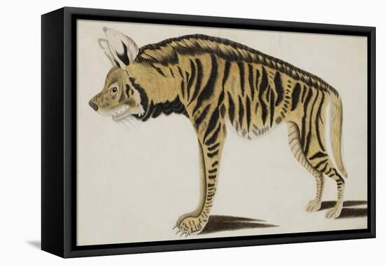 Hyena, after 1794-null-Framed Premier Image Canvas