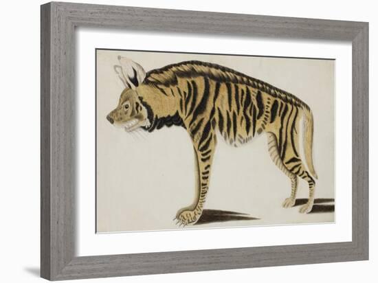 Hyena, after 1794-null-Framed Giclee Print