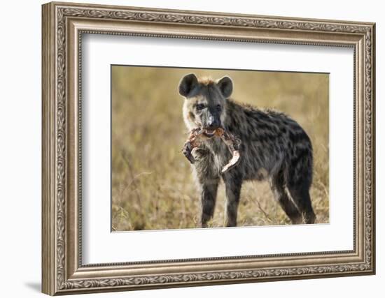 Hyena, Moremi Game Reserve, Botswana-Paul Souders-Framed Photographic Print