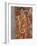 Hygieia (1907)-Gustav Klimt-Framed Photographic Print