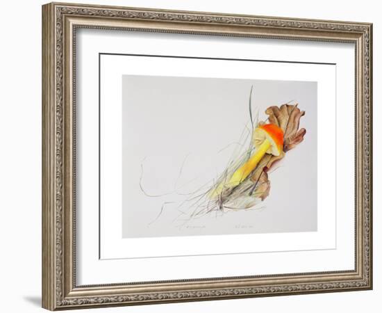 Hygrocybe, 2000-Rebecca John-Framed Giclee Print