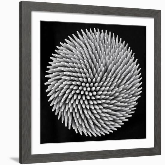 Hypnosis-Giorgio Toniolo-Framed Giclee Print