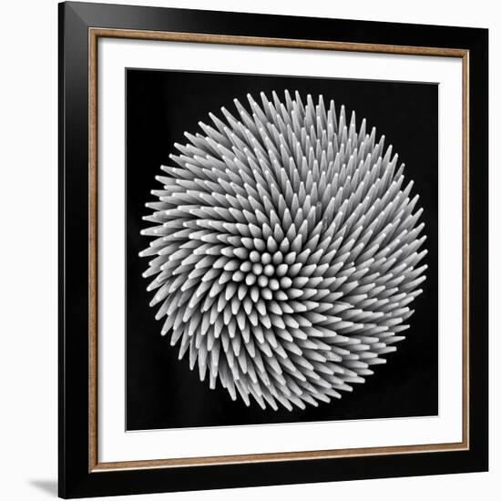 Hypnosis-Giorgio Toniolo-Framed Giclee Print